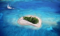 世界橄榄球锦标赛前瞻：新西兰全黑队面临南非队强势挑战。，新西兰橄榄球国家队