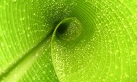 世界保龄球巡回赛城市站青少年赛事普及覆盖更多省份，保龄球世锦赛