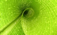 世界保龄球巡回赛城市站青少年赛事普及覆盖更多省份，保龄球世锦赛