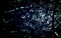 世界滑水锦标赛中国选手夺金，全国滑水锦标赛2020