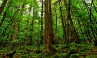 世界体能恢复公益课堂高校合作第三批名单发布，国际青少年体能协会(iyca)