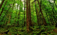 世界体能恢复公益课堂高校合作第三批名单发布，国际青少年体能协会(iyca)